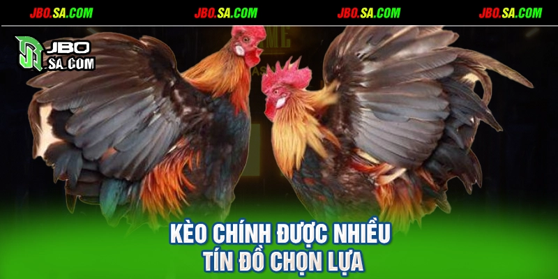 Kèo chính được nhiều tín đồ chọn lựa