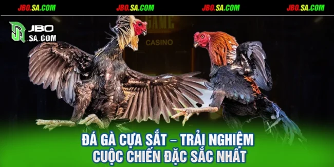 Đá Gà Cựa Sắt – Trải Nghiệm Cuộc Chiến Đặc Sắc Nhất