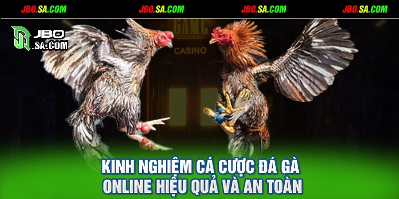 Kinh nghiệm cá cược đá gà online hiệu quả và an toàn