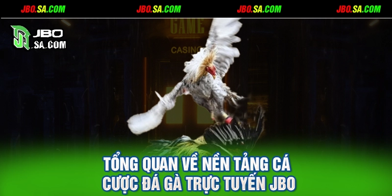 Tổng quan về nền tảng cá cược đá gà trực tuyến JBO