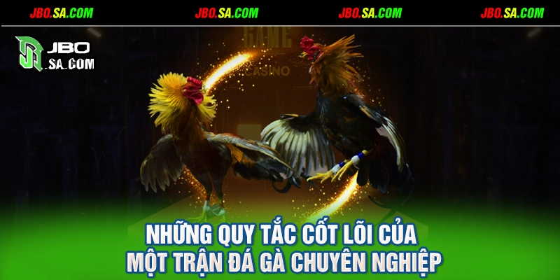 Những quy tắc cốt lõi của một trận đá gà chuyên nghiệp