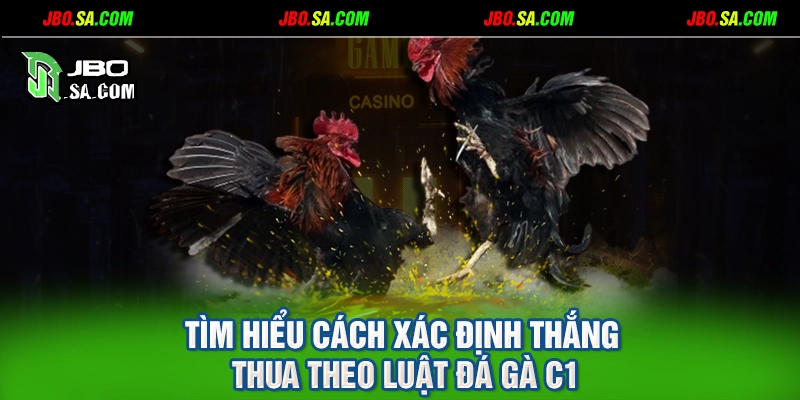 Tìm hiểu cách xác định thắng thua theo luật đá gà C1