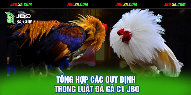 Tổng hợp các quy định trong luật đá gà C1 JBO