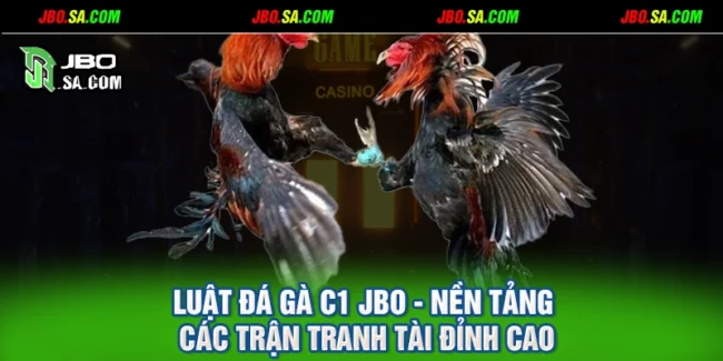 Luật Đá Gà C1 JBO - Nền Tảng Các Trận Tranh Tài Đỉnh Cao