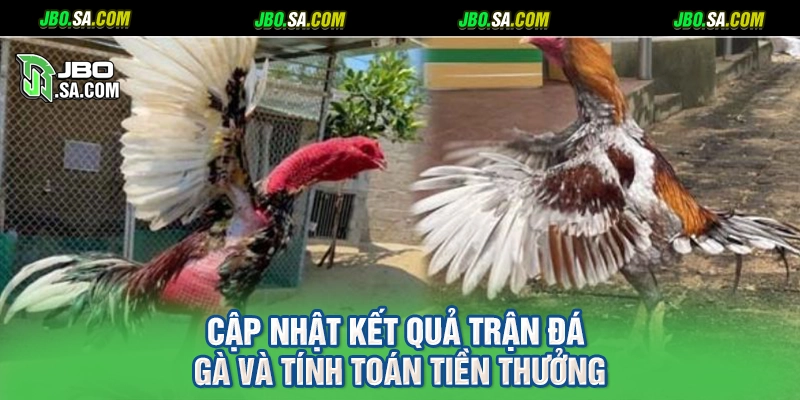 Cập nhật kết quả trận đá gà và tính toán tiền thưởng