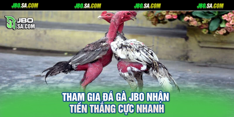 Tham gia đá gà JBO nhận tiền thắng cực nhanh